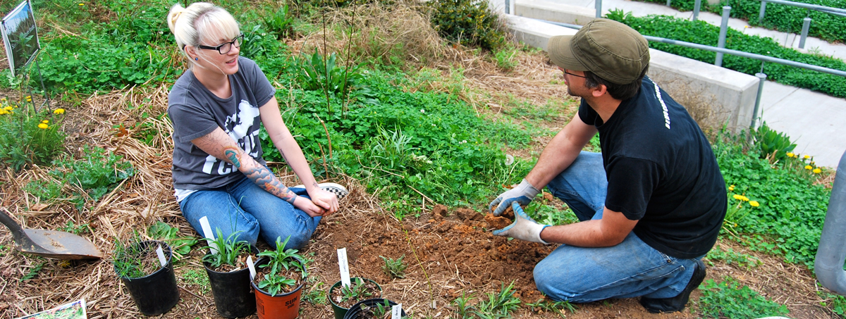 Gardening for the EcoArt course. Photo provided.