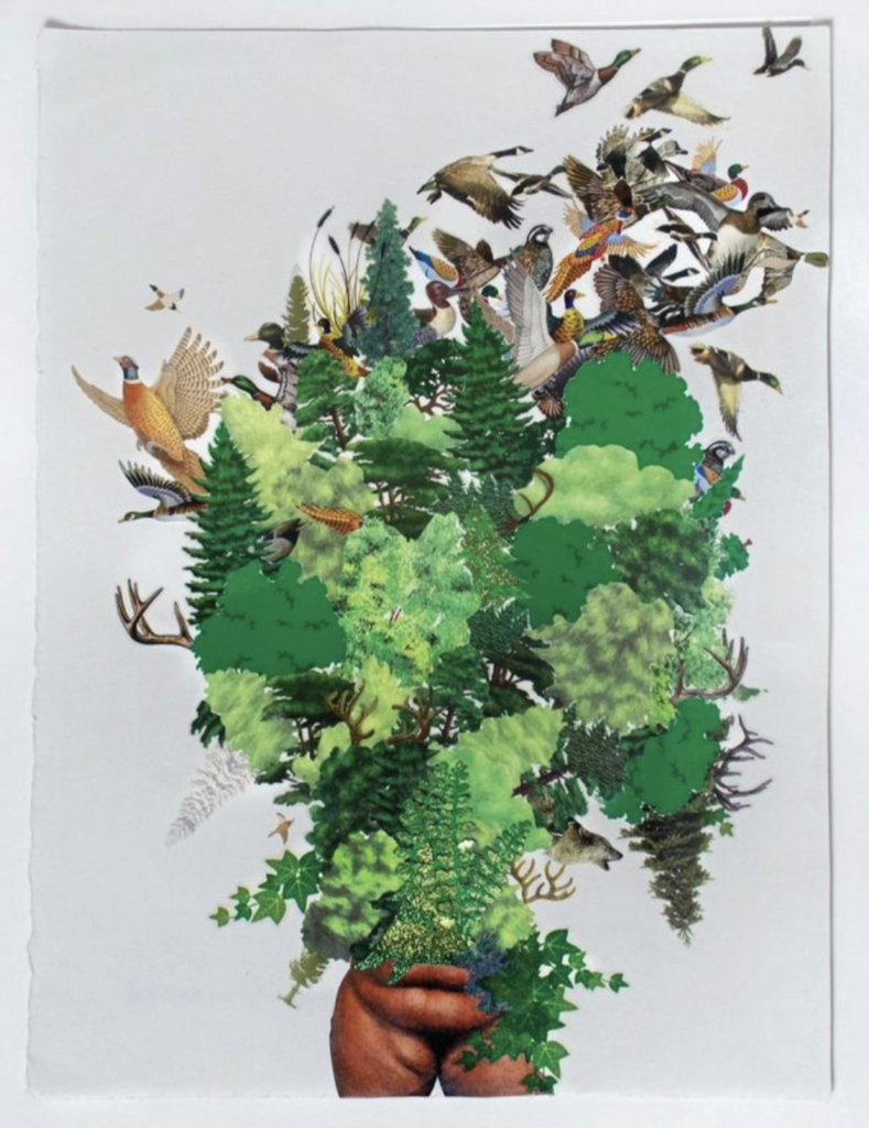 Collage of many birds flying off of greenery that is surrounding a human being.