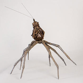Fanni Somogyi, Cross Species Connection, 2021