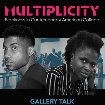 Multiplicity